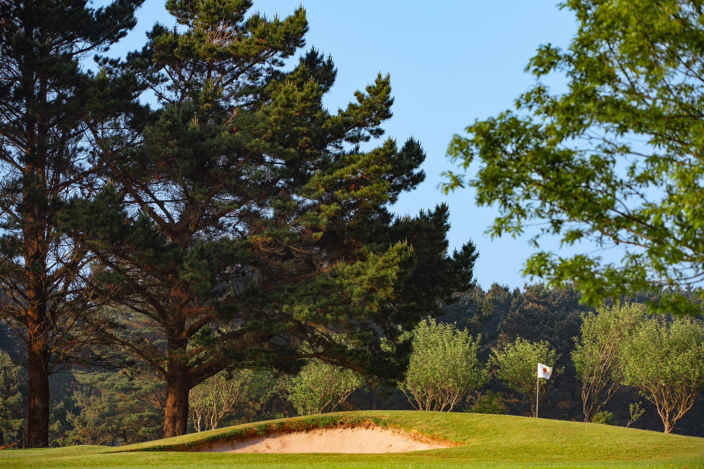 Tehidy Park's tree-lined parkland course