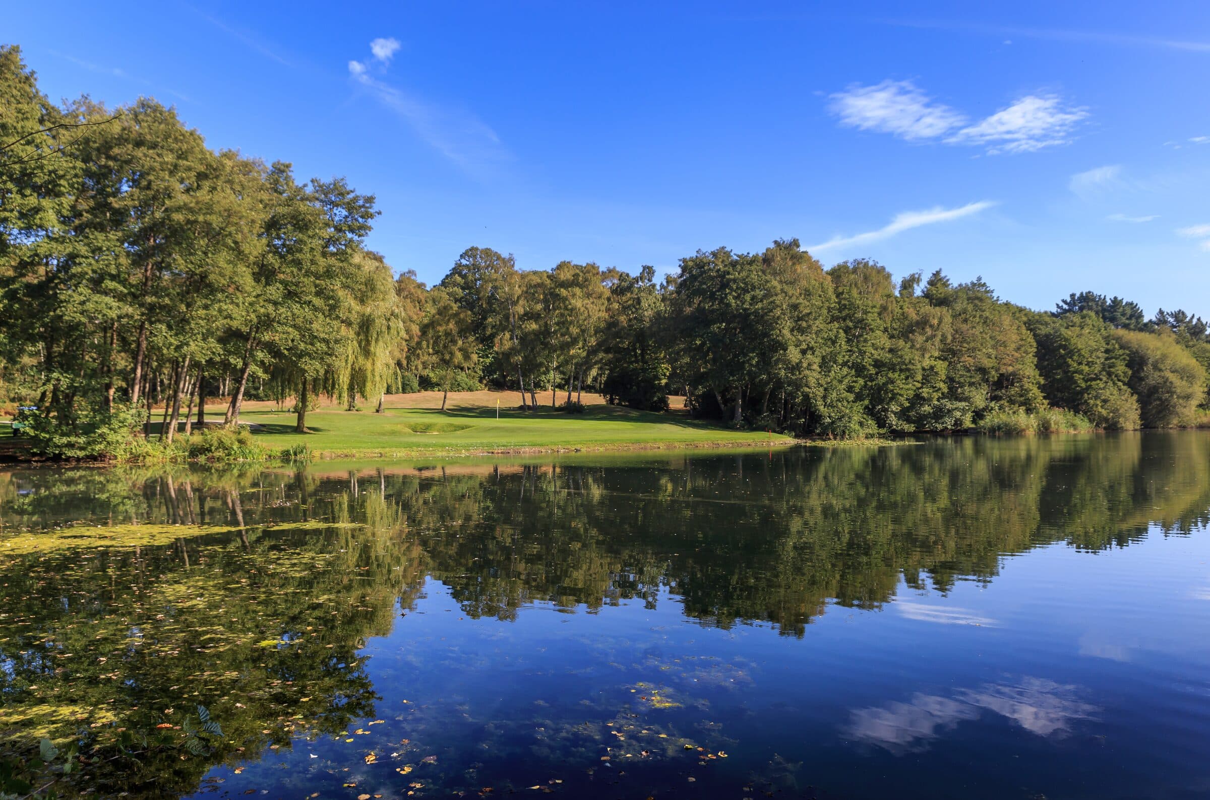 The lake and tree line at Silvermere Golf Complex