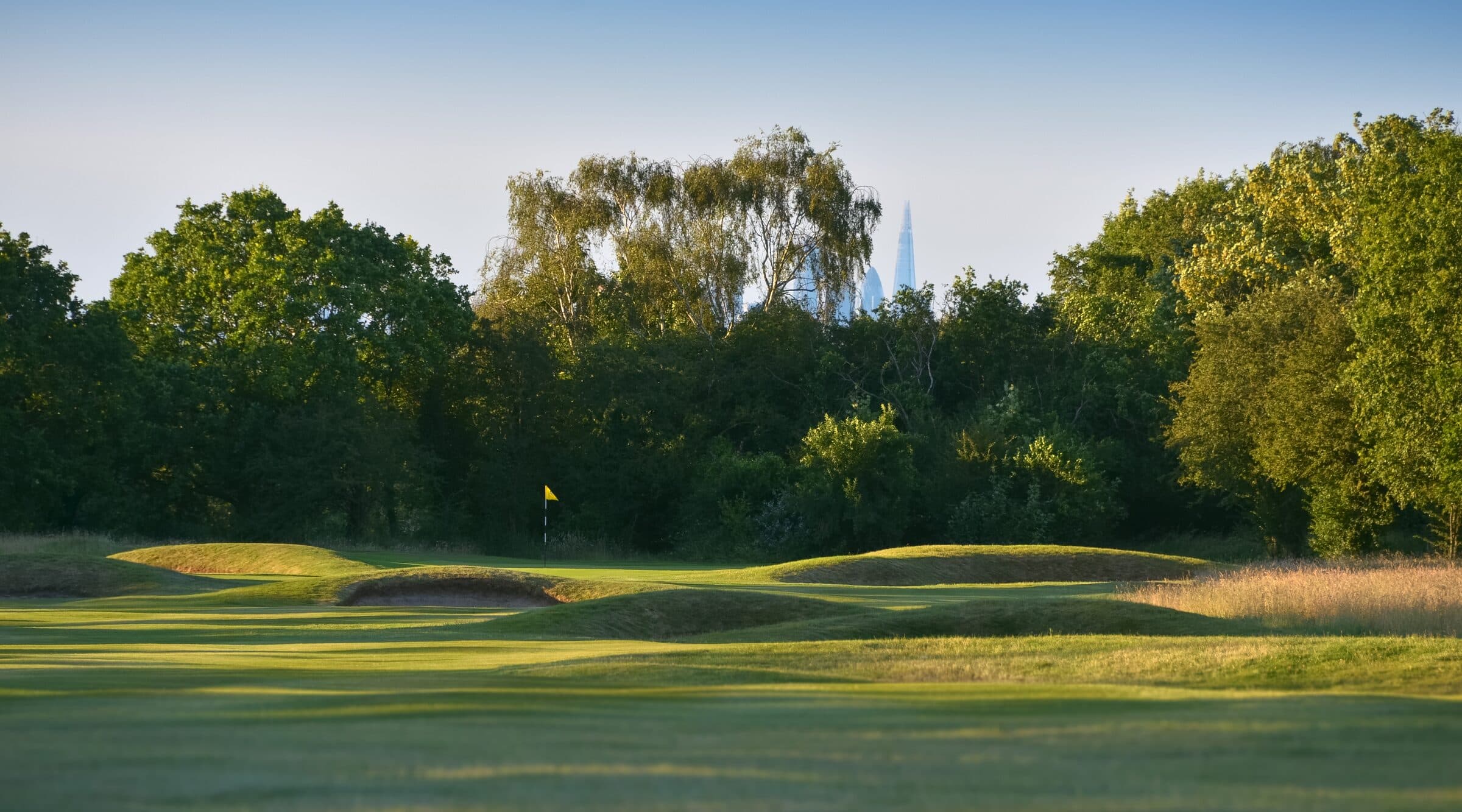 Banstead Downs golf course in evening light, with the London skyline visible beyond the trees.